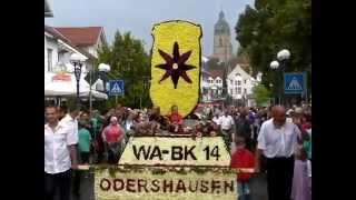 Blumenkorso in Bad Wildungen 17 Motivwagen und 20000 Zuschauer [upl. by Ocirederf]