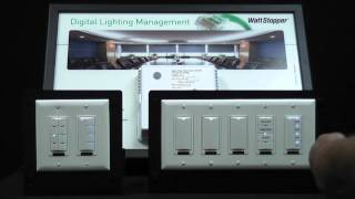 Wattstopper How to Setup a room with multiple dimmers using the LMCT100 [upl. by Dion]