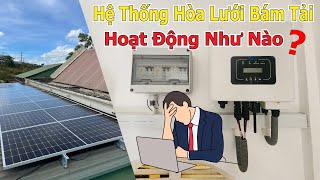 Vì Sao Tốn Tiền Đầu Tư Điện Mặt Trời Mà Còn Bị Phạt [upl. by Rahsab]