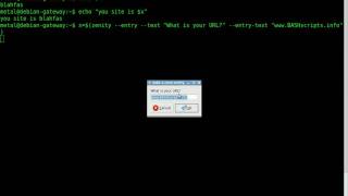 BASH tutorial  GUIs with Zenity Part 1 [upl. by Burdett240]