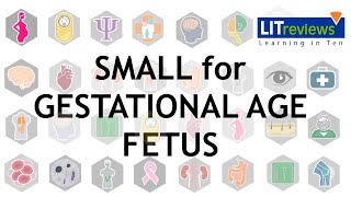 How best to diagnose and treat the small for gestational age fetus [upl. by Deeas526]