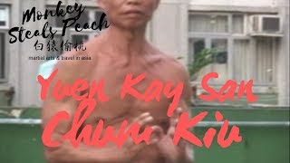 Yuen Kay San style Wing Chun  Chum Kiu by Kwok Wan Ping [upl. by Annekim]