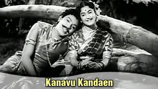 Kanavu Kandaen  S S Rajendran S Varalakshmi  Sivagangai Seemai  Tamil Romantic Song [upl. by Appleby]