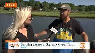 Sixpenny Oyster Farm [upl. by Akahc341]