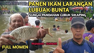 Panen ikan larangan SUNGAI PANDAHAN NAGARI SUNDATA LUBUK SIKAPING  full momen  JELAJAH NAGARI [upl. by Hentrich]