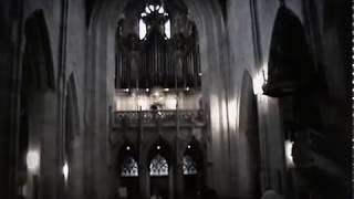 Man sings in church [upl. by Nilesoy]