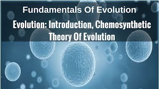 Introduction to Evolution Chemosynthetic Theory Of Evolution [upl. by Rurik]