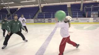 Poull Ball On Ice  Official Video [upl. by Arraic]