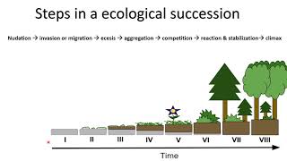 ECOLOGICAL SUCCESSION  PIONEER SPECIES  CLIMAX COMMUNITY HYDROSERE [upl. by Easton173]