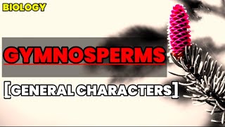 Gymnosperms  General characteristics  Biology  Educational info [upl. by Oiramat]