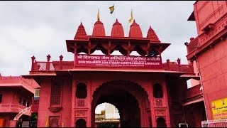 Sanganer Jain Temple Darshan l Sanghi ji ka mandir l Aadinath Jain Mandir Sanganer [upl. by Anallij]