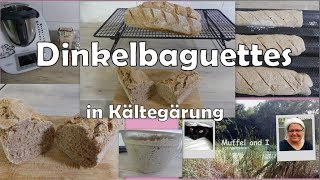 Dinkelbaguette mit wenigen Zutaten in Kältegärung [upl. by Ahsieyk]