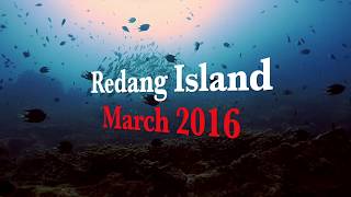 Scuba Diving  Redang Island Malaysia  25 to 27 March 2016 by Maskervers [upl. by Valli]