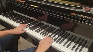 Beethoven Pathetique sonata  1st movement [upl. by Goren]