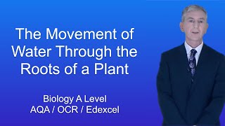 A Level Biology Revision quotMovement of Water Through the Roots of a Plantquot [upl. by Ajdan]