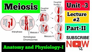 Meiosis Cell Division In UrduHindi  Anatomy and Physiology  Unit3 Lecture  2 PartII  BSN [upl. by Azzil921]