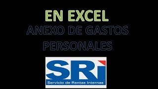 Plantilla en Excel Anexo de Gastos Personales  ERRORES [upl. by Yblehs]