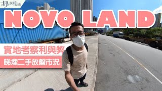 🏝屯門NOVO LAND：揀樓攻略🏝實地考察利與弊：睇埋二手放盤市況❗️｜新地｜屯門54區｜胡‧說樓市 [upl. by Idurt]