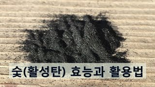 자연치유센터 시온의동산 천연치료 건강정보 숯활성탄의 효능과 활용법 [upl. by Saravat]