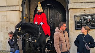 RIP ANOTHER NIPPER aptlynamed INDIGO deters troublesome tourists at Horse Guards [upl. by Kenwee]