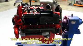 BLACK MAMBA 73L POWERSTROKE CRATE MOTOR FROM THE HORSEPOWER SHOP [upl. by Yma]