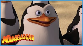 Película Los Pinguinos de Madagascar 2014 Clip Previo Español Latino [upl. by Schoenfelder82]