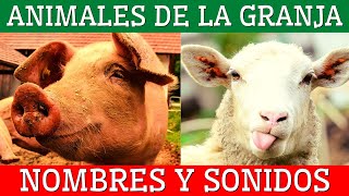 🌾Los ANIMALES DE LA GRANJA para niñosAprende los animales y sus sonidos🐷🐴🦆 [upl. by Nutsud756]