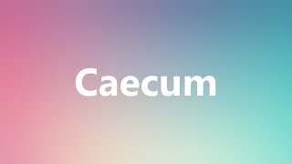 Caecum  Medical Meaning and Pronunciation [upl. by Gnoix]