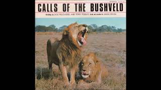 Calls of the Bushveld [upl. by Benedetto393]