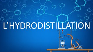 Animation Chimie  Lhydrodistillation pour tout savoir ou presque 😉  cest ici  😇 [upl. by Ahseka]