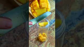 MangoDrink cooking smoothie mango einfachesrezept vegetarian [upl. by Yand366]