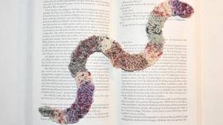 Stricken  Gestrickter Bücherwurm  Lesezeichen  Kleine Geschenke [upl. by Spitzer]