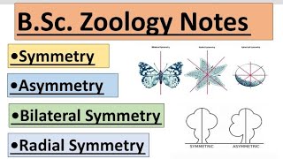 SymmetryAsymmetryTypes Of SymmetryBilateral And Radial Symmetrybilateralsymmetry radialsymmetry [upl. by Loralyn]