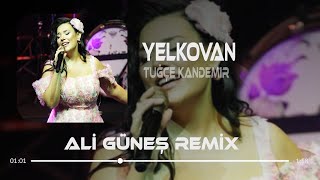 Tuğçe Kandemir  Yelkovan  Ali Güneş Mix [upl. by Blisse80]