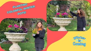 Planting Colorful Winter Pots 🌸❄️  Winter Gardening Tips [upl. by Tnarg]