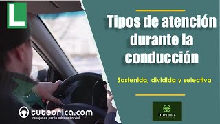 ¡Descubre los 3 tipos de atención cruciales para una conducción segura 🚗🔍 [upl. by Ayotnom]