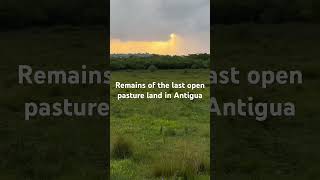 The last open Pasture July 22 2024 [upl. by Uht]