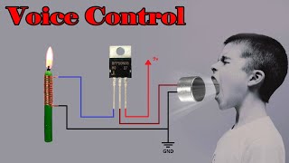 how to make top five voice control device at your home [upl. by Mahalia444]