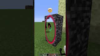 Broken Nether Portals vs Forbidden Emoji Reaction meme shorts minecraft [upl. by Stead756]