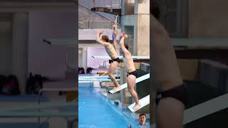 diving swimminganddiving sports divingtime flip swimming acrobatics cute babyswimmer [upl. by Ettezel49]