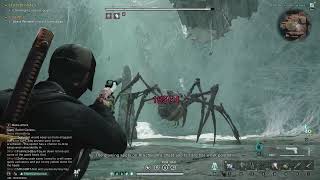 Arachsiam Pro Mode Bullseyes Solo [upl. by Noek728]