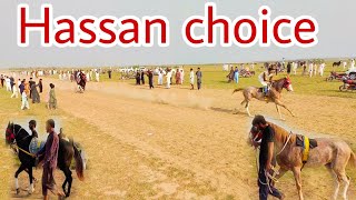 Nora mandiyala horse race mela Hassan choice winner [upl. by Regazzi67]