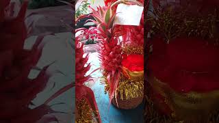 Beautiful Pineapple Ornamental Plants for CNY [upl. by Blumenfeld977]