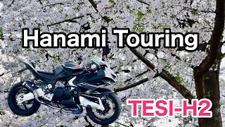 【Bimota TesiH2】Hanami touring quotSAKURAZAKAquot in TOKYOJapan [upl. by Hereld575]