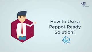 Peppol EInvoicing with SAP Business One [upl. by Utas]