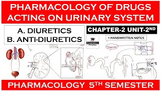 Diuretics amp Antidiuretics  Pharmacology of Drugs Acting on Urinary System  Pharmacology 5th sem [upl. by Florrie730]