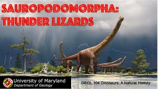 Lecture 20 Sauropodomorpha Thunder Lizards part I [upl. by Orhtej264]