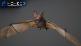 Bat 3D Model by NoneCG [upl. by Naletak]