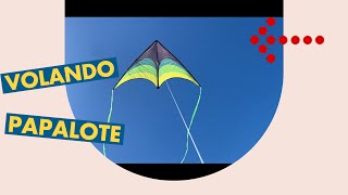 Volando papalote [upl. by Ecnaret]