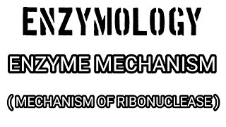 EnzymologyMechanism of Ribonuclease [upl. by Elaynad]